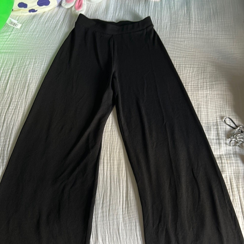 Zara pants